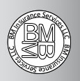 BM Insurance Services